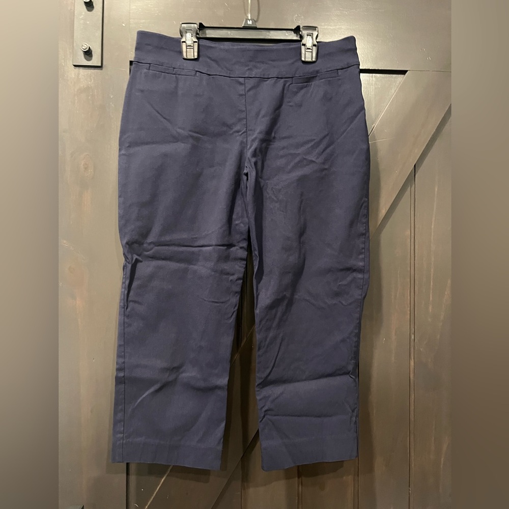 Talbots Midnight Blue Trousers